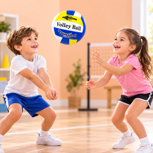 PELOTA VOLEYBAL