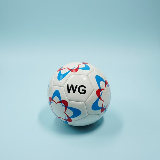 BALON DE FUTBOL #2