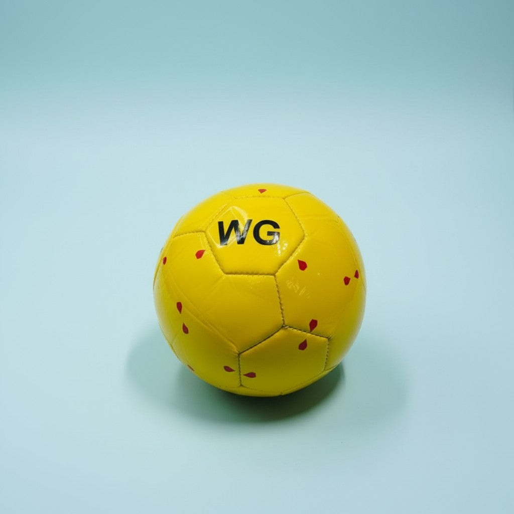 BALON DE FUTBOL #2
